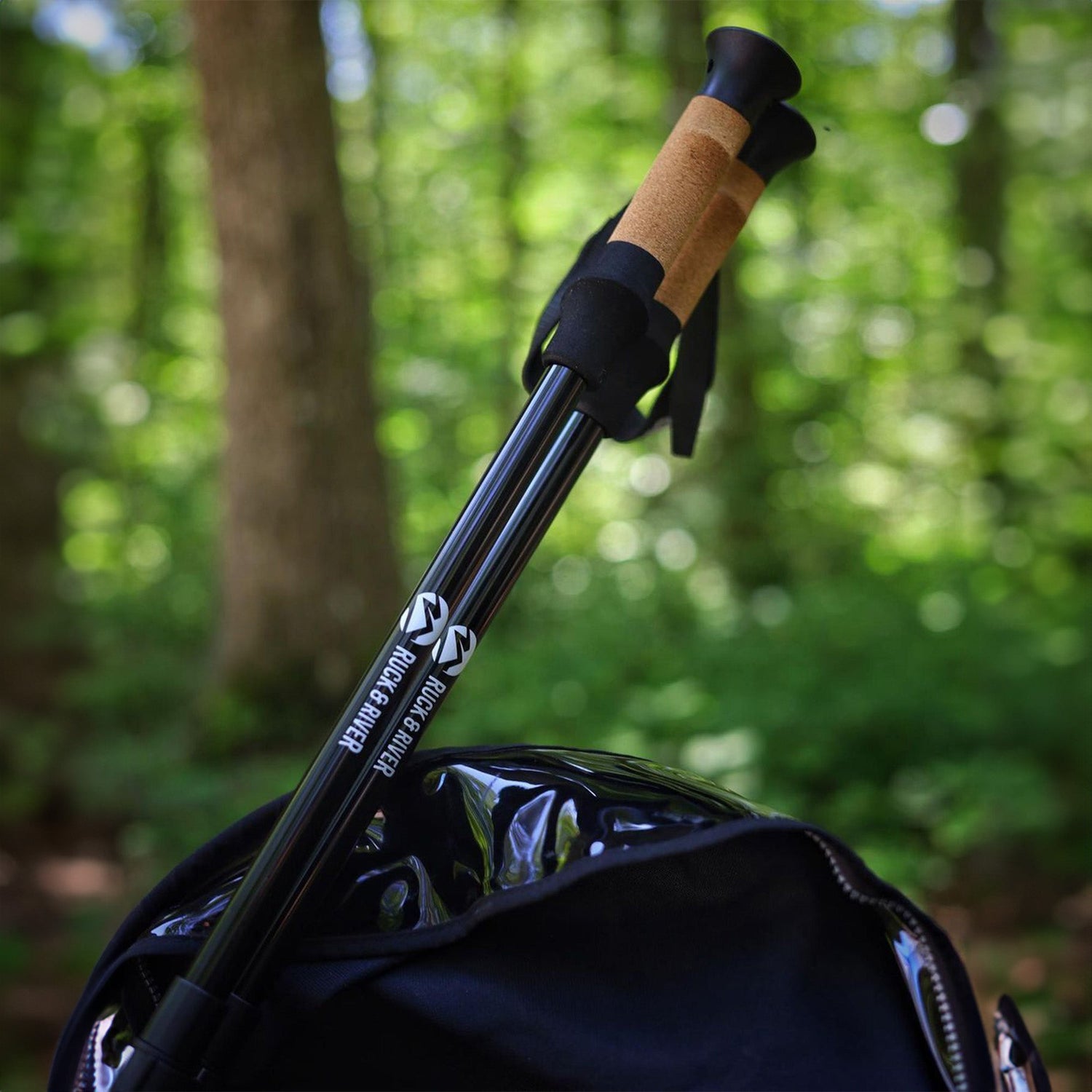 Trekking Poles